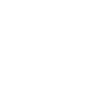 so shiny